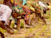 Lamin L. Sanyang warns Secco presidents over unpaid farmers, hints at legal action