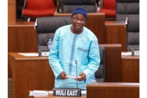 Why Honourable Suwaibou Touray’s position on ending nominated members misses the mark and gets it wrong