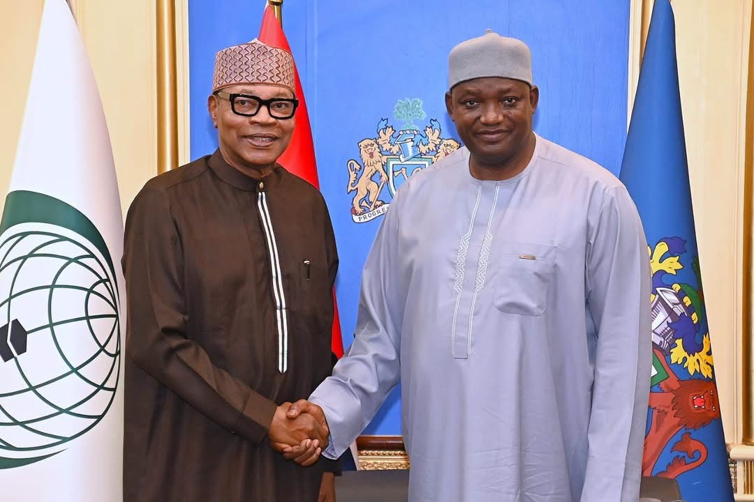 Barrow pledges credible December 5 election in meeting with Chambas