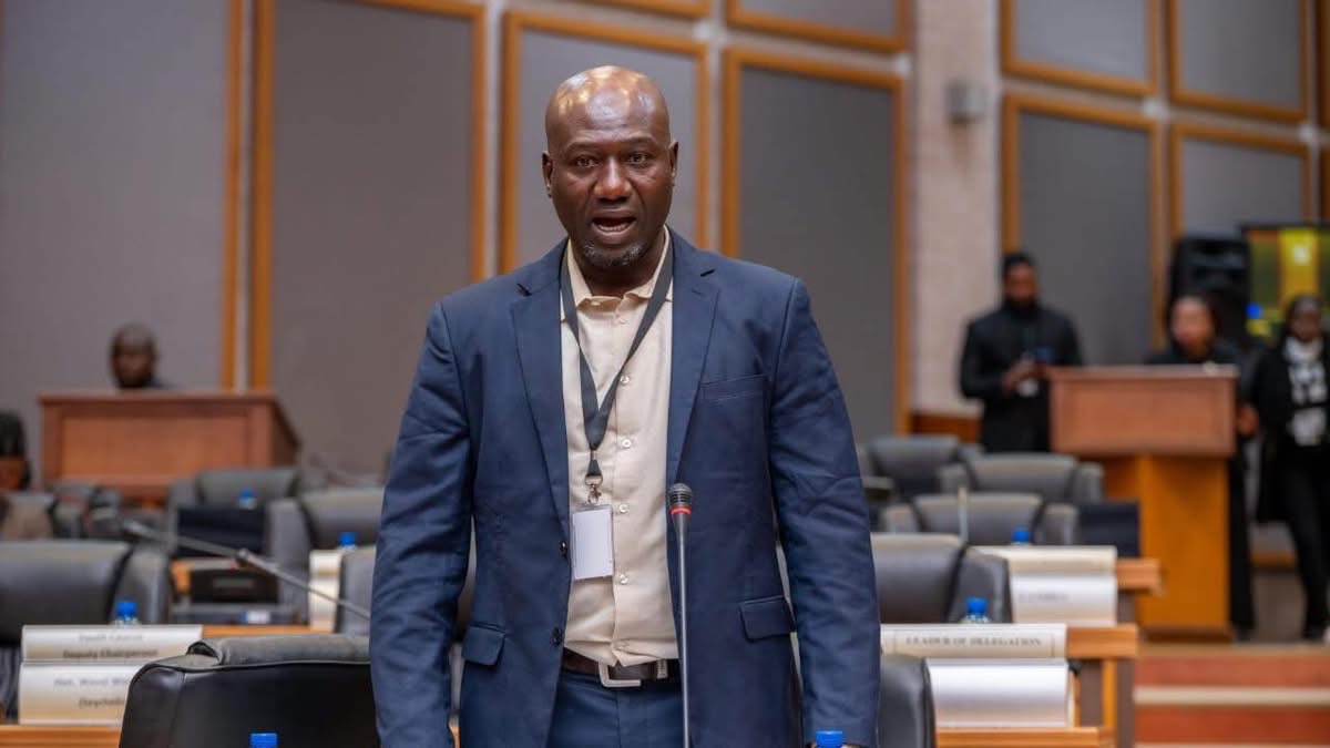 Sulayman Saho alleges D70m withdrawn from Central Bank for Meet the People Tour